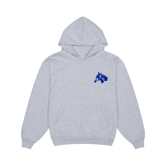 Down For The Ride Fleece Hoodie